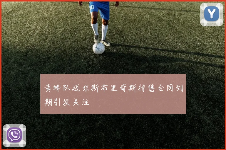 黄蜂队迈尔斯布里奇斯待售合同到期引发关注